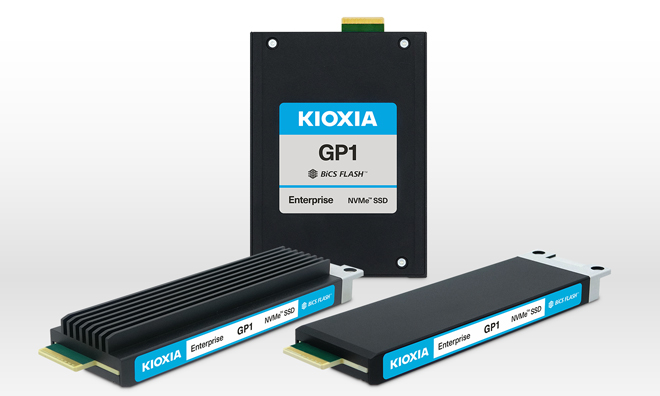 超高 IOPS SSD，KIOXIA GP 系列